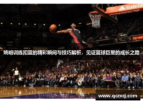 姚明训练扣篮的精彩瞬间与技巧解析，见证篮球巨星的成长之路