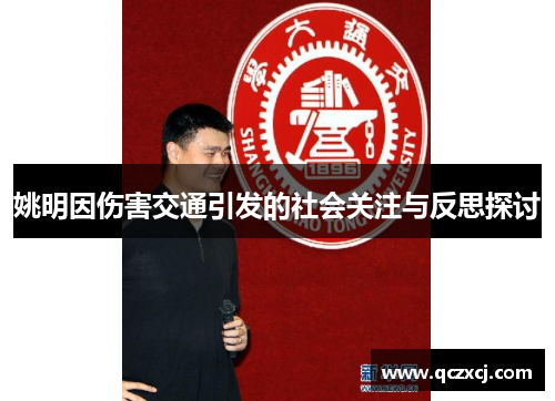 姚明因伤害交通引发的社会关注与反思探讨