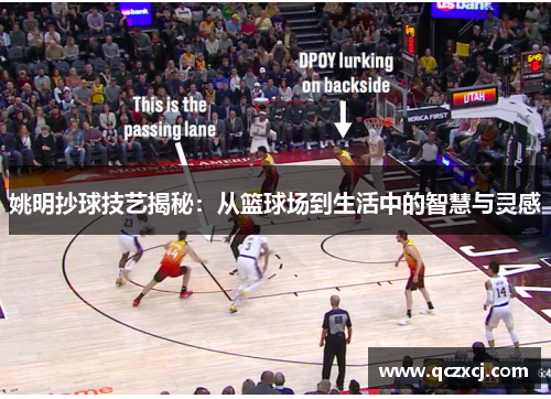 姚明抄球技艺揭秘：从篮球场到生活中的智慧与灵感